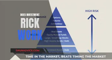 Unraveling the Mystery: Does Investment Risk Pay Off?