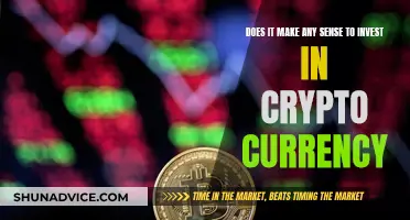 Crypto Currency: Smart Investment or Risky Gamble?