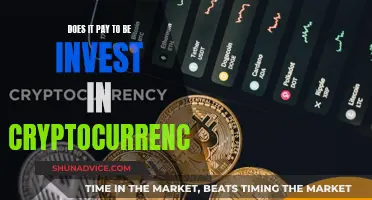 Cryptocurrency: Worth the Investment Risk?