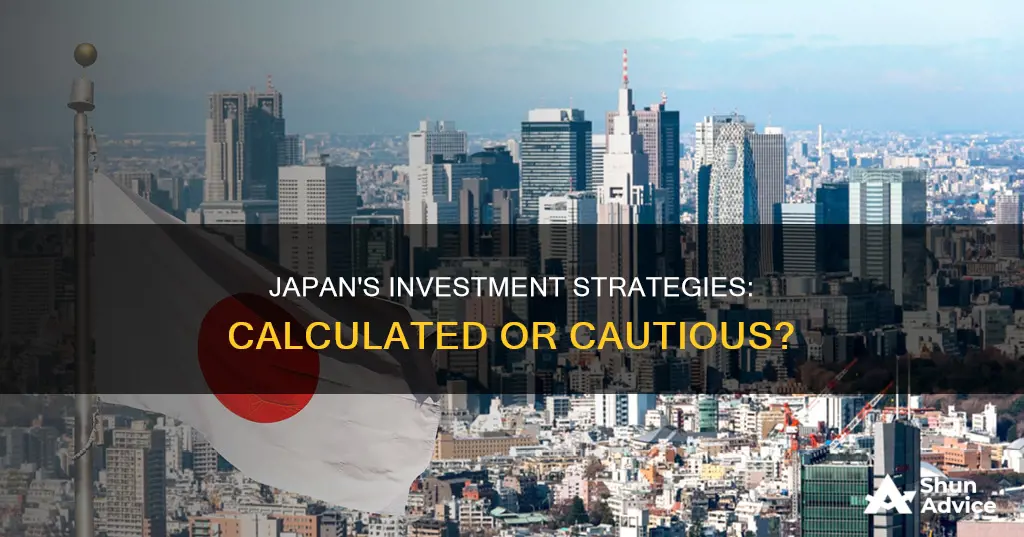 does japan take risks in investments