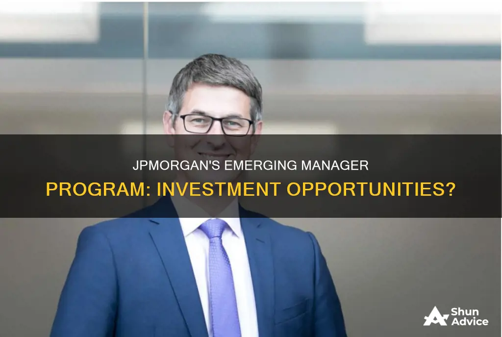 does jpmorgan have an emerging investment manager program