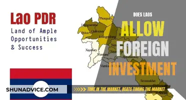 Unlocking Laos' Potential: A Guide to Foreign Investment Opportunities