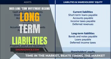 Long-Term Investments: Navigating the Balance Between Growth and Liability