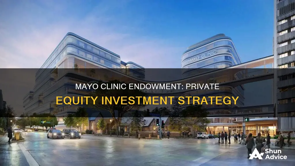 does mayo clinic endowment invest in private equity