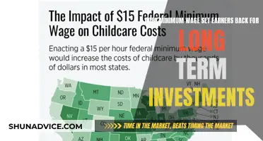 Minimum Wage Wages: Long-Term Investment Barriers for Low-Income Earners