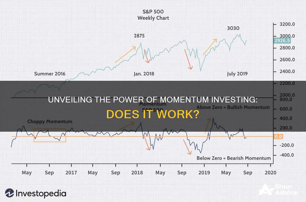 does momentum investing work