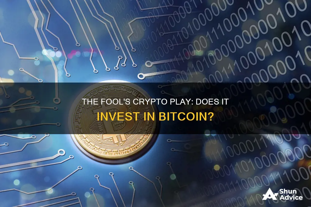 does motley fool invest in bitcoins