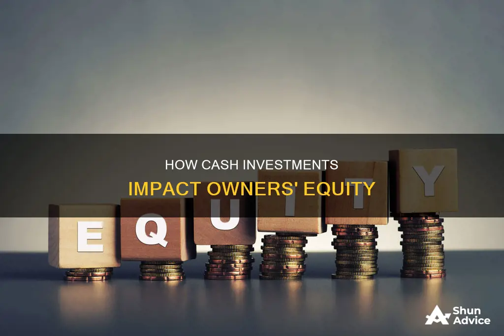 does owners equity increase when more cash is invested