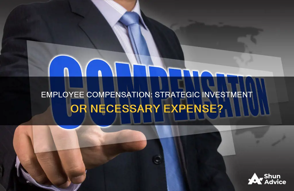 does paying employees cost as an investment