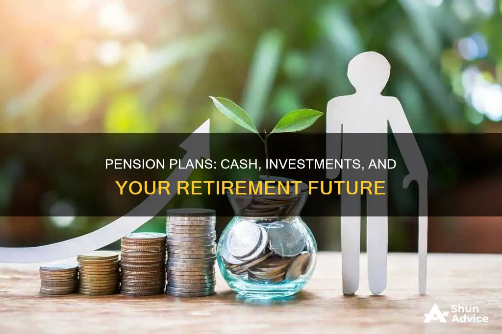 does pension count as cash and investment