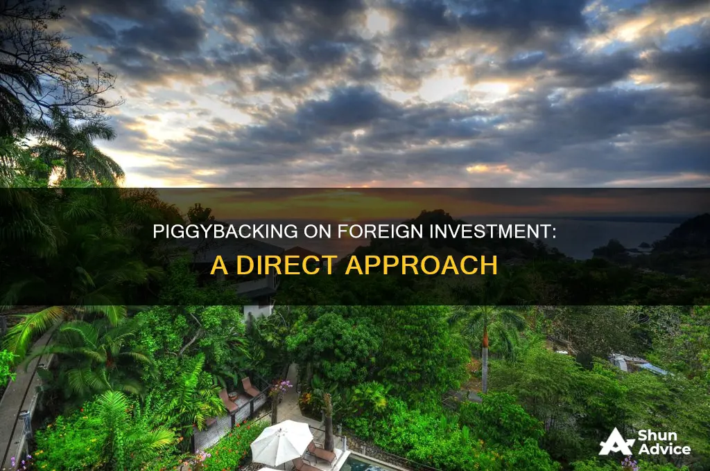 does piggybacking have direct foreign investment