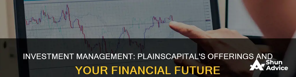 does plainscapital offer investment management