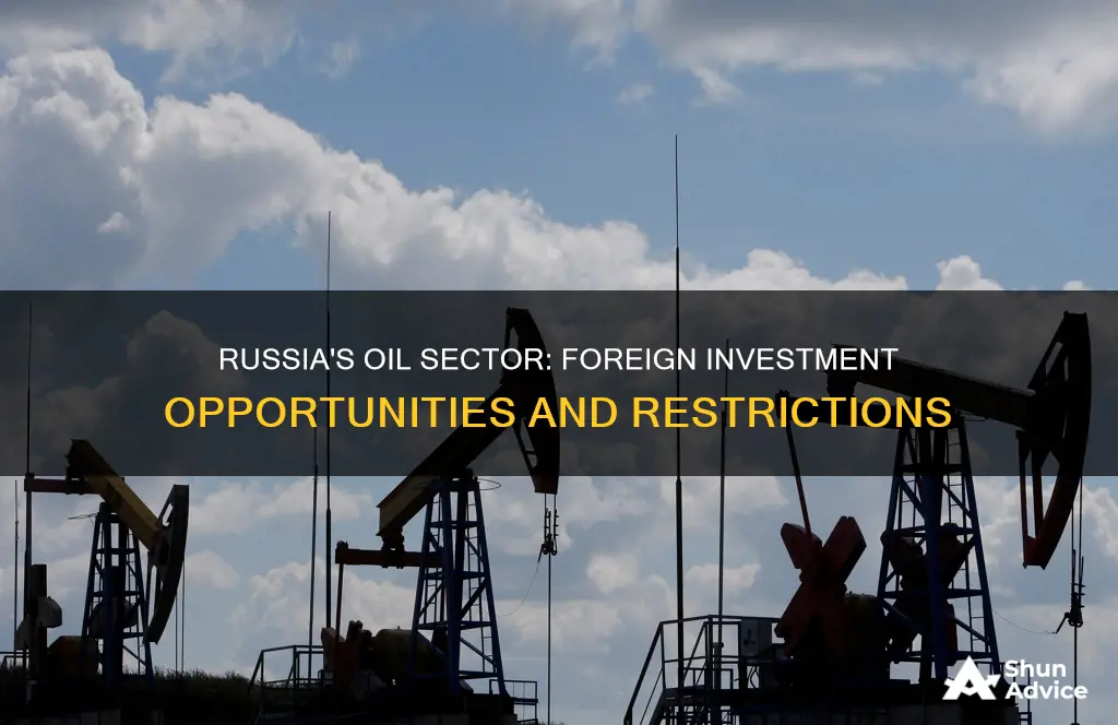 does russia allow foreign oil investment