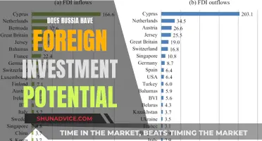 Unlocking Russia's Foreign Investment Potential: A Comprehensive Analysis