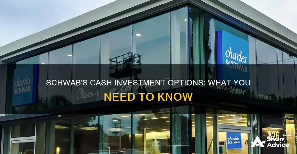 does schwab have cash investments