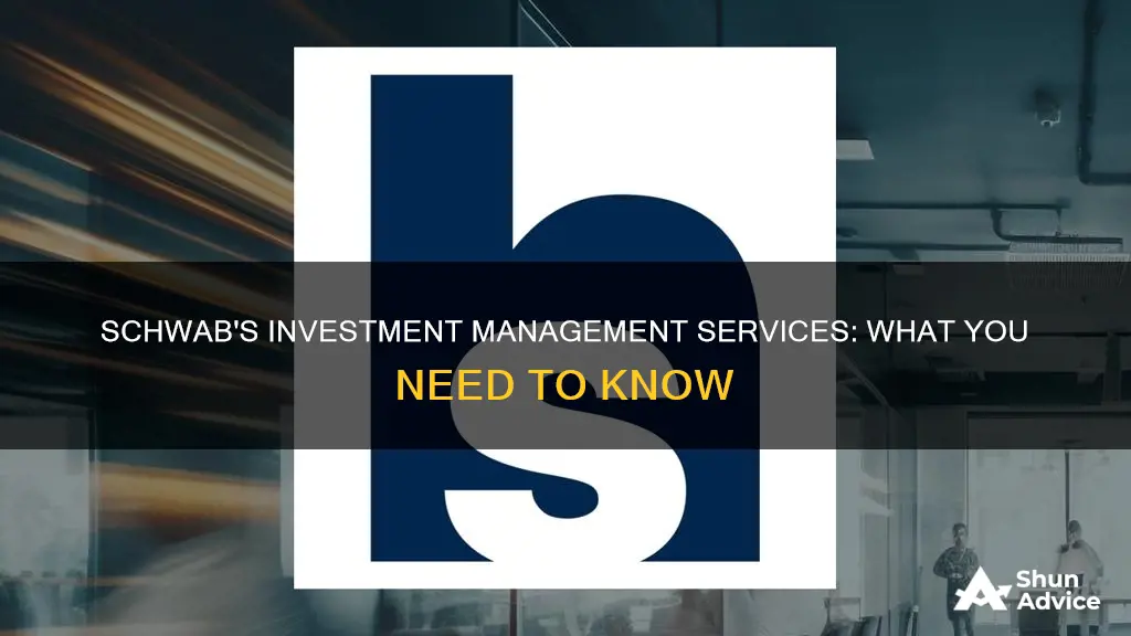 does schwab provide investment management