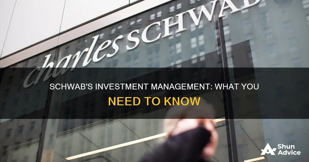 does shwab manage investments