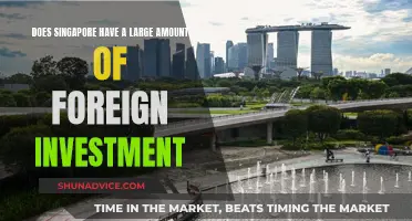 Singapore's Foreign Investment: A Magnet for Global Capital