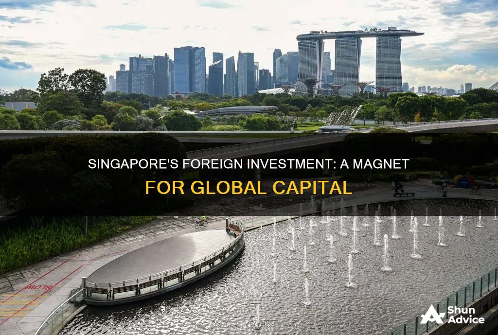 does singapore have a large amount of foreign investment