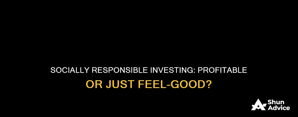 does socially responsible investing make financial sense