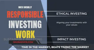 Socially Responsible Investing: Does It Deliver? Uncovering the Impact