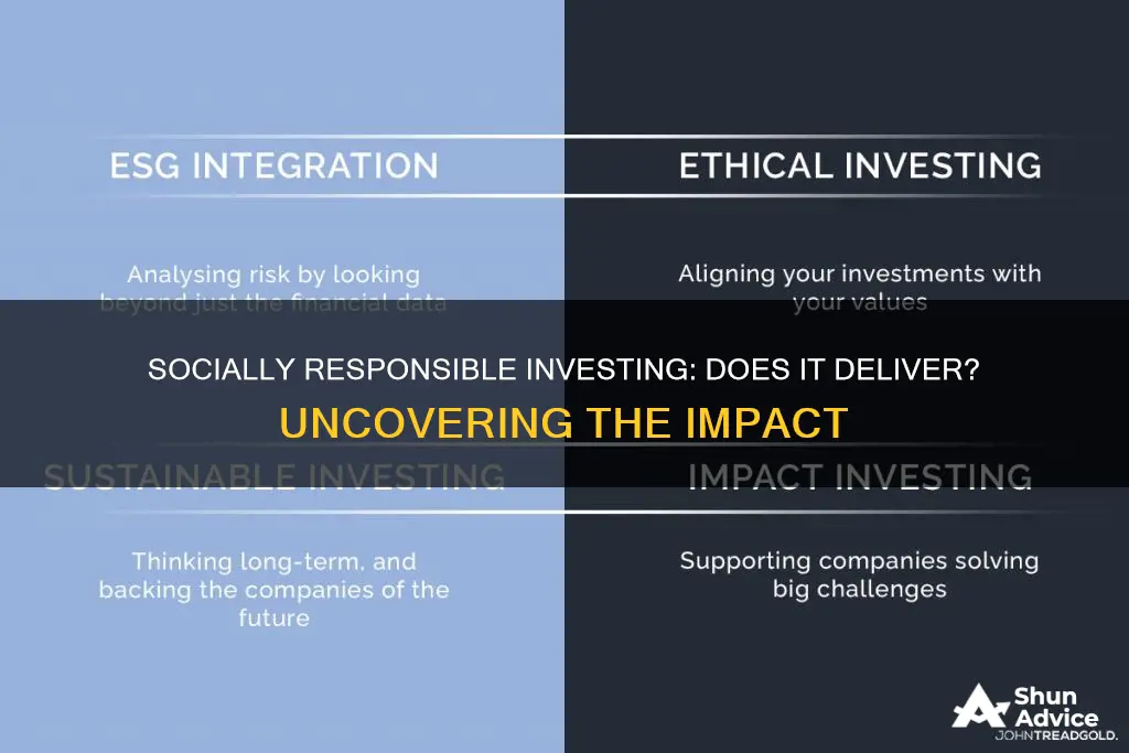 does socially responsible investing work