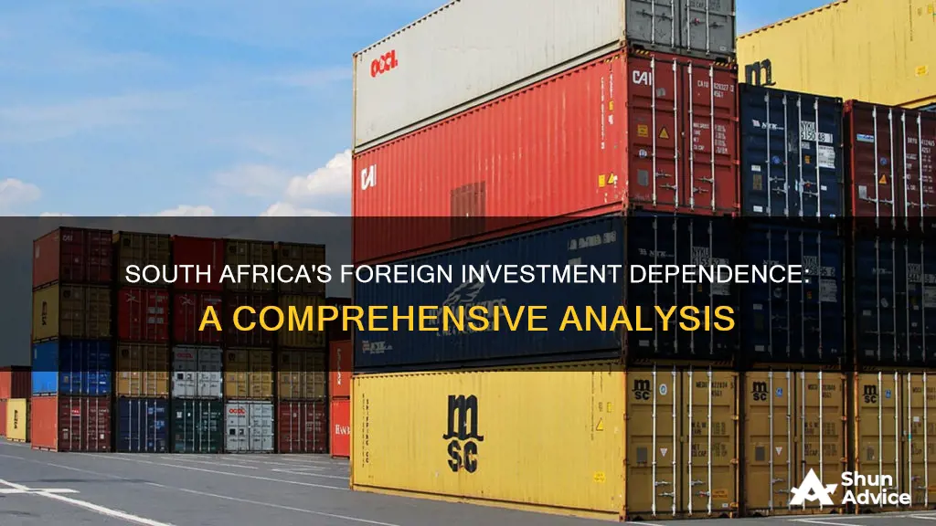 does south africa depend on foreign investment