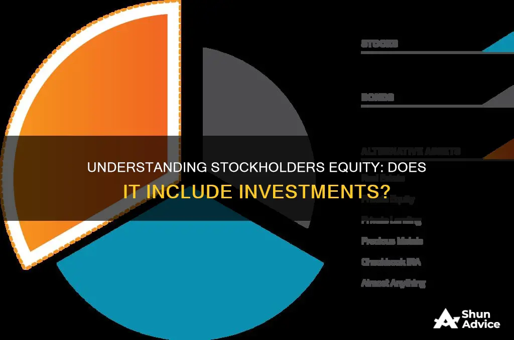 does stockholders equity include investments