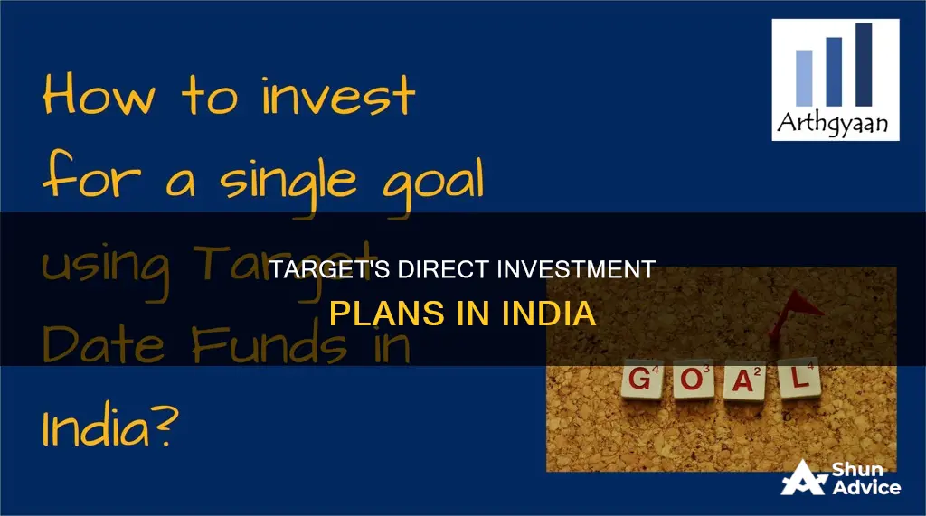 does target have direct investment in india