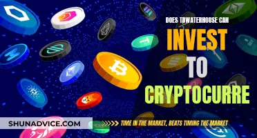 TD Waterhouse's Crypto Investment Options: Exploring the Possibilities