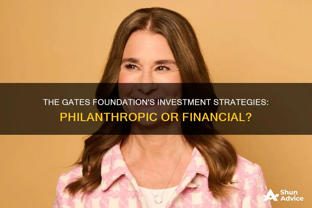 does the gates foundation make program related investments