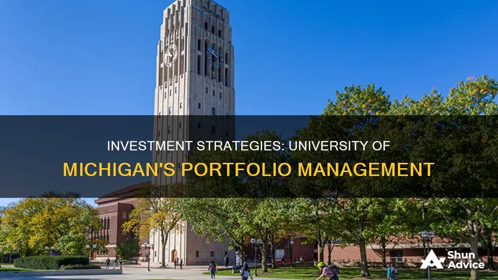 does the university michigan operate an investment portfolio