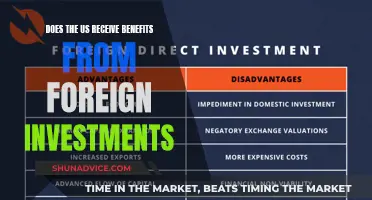 Foreign Investment Benefits: US Advantages and Impact