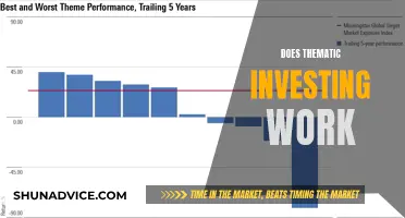 Thematic Investing: Unlocking Long-Term Gains or a Flawed Strategy?