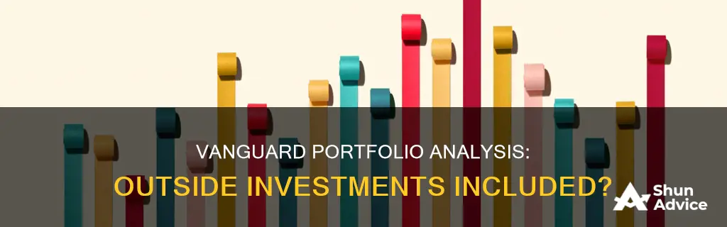 does vanguard portfolio analysis include outside investments