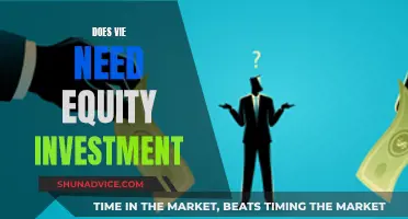 VIE's Future: Equity Investment Needed?