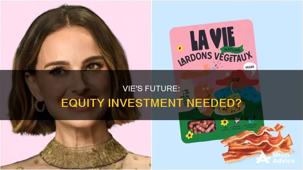 does vie need equity investment