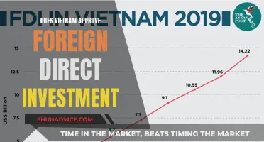 Vietnam's Foreign Investment Policy: Opportunities and Challenges