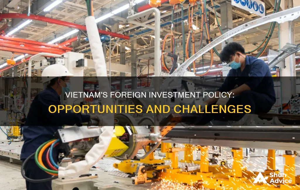 does vietnam approve foreign direct investment