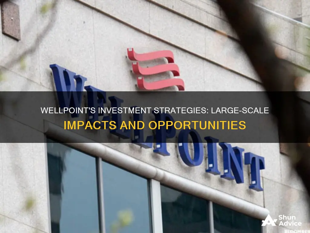 does wellpoint make large investments