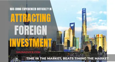 China's Foreign Investment Appeal: Navigating Challenges and Opportunities