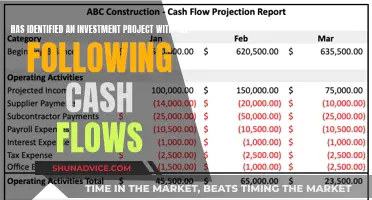 Capital Investment Project: Cash Flows Strategy