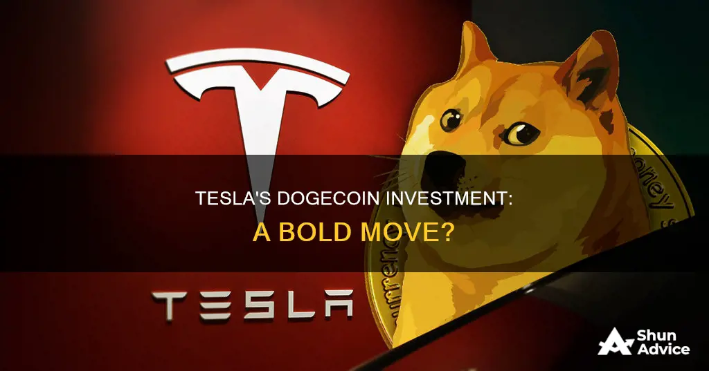 has tesla invested in dogecoin