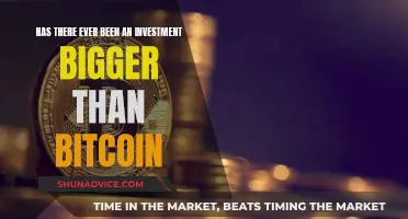 The Ultimate Investment: Bigger Than Bitcoin?