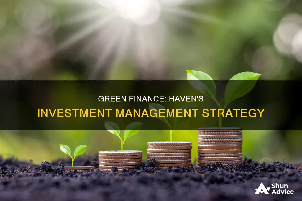 haven green investment management