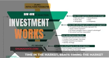 Unraveling the Mystery: Your 401(k) Investment Journey