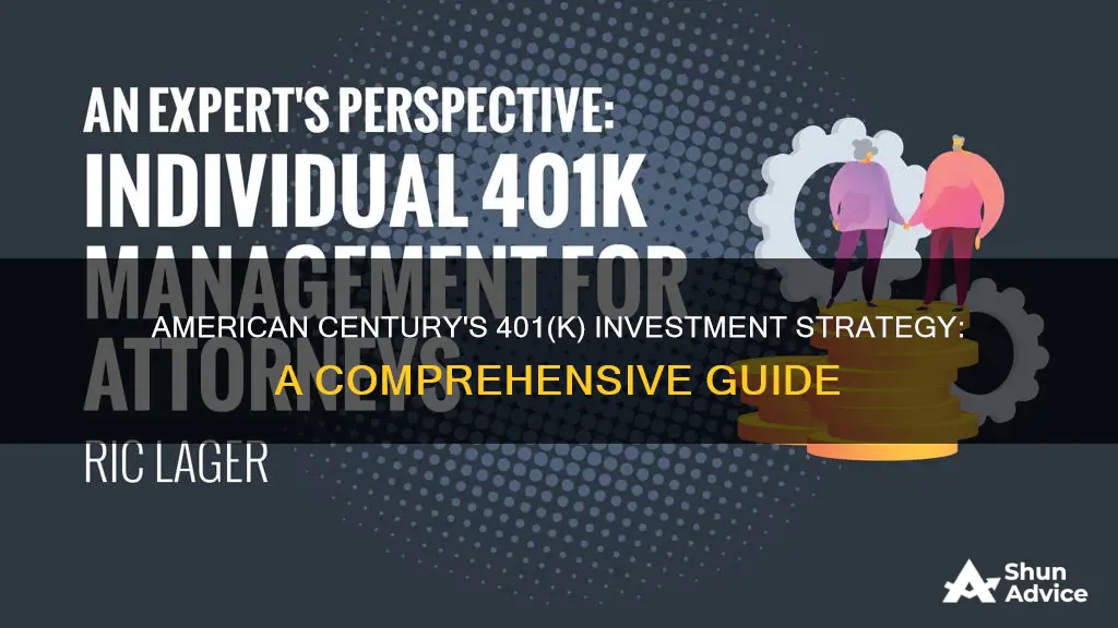 how american century investment process your 401k