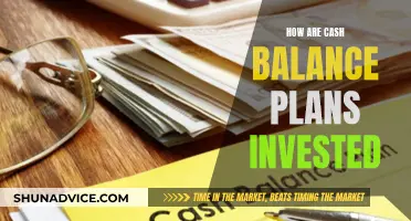 Investing in Cash Balance Plans: Understanding Your Options