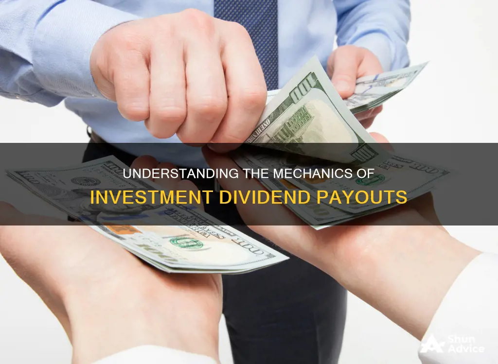 how are investment dividends payed out