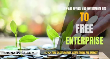 Savings, Investments, and the Free Enterprise Link